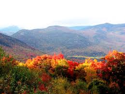 October Newsletter